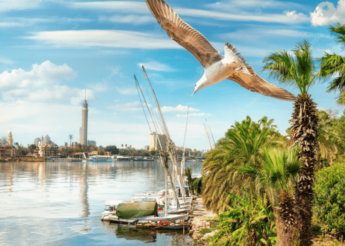 Felucca Ride on the Nile in Cairo