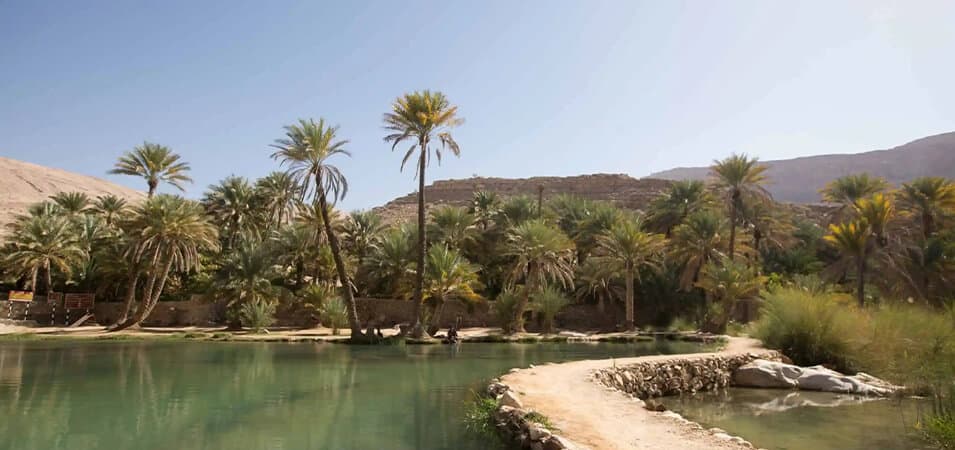 Oasis of Wadi Bani Khalid