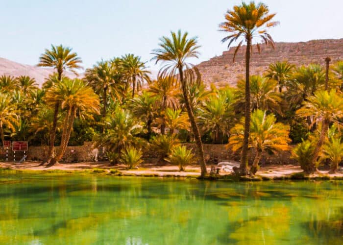 Oasis of Wadi Bani Khalid