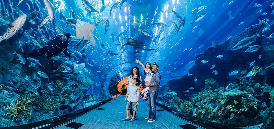 Dubai Aquarium and Underwater Zoo