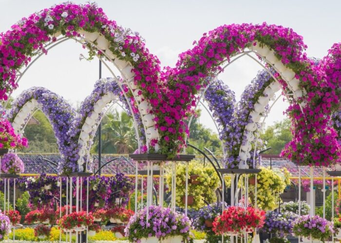 Dubai Miracle Garden