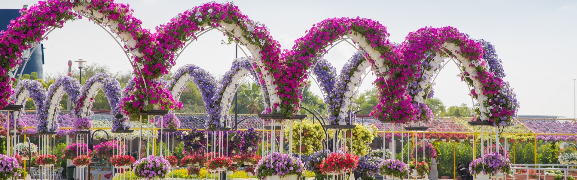 Dubai Miracle Garden