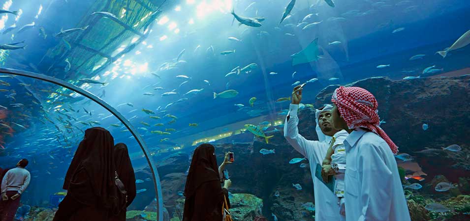 Dubai Aquarium and Underwater Zoo