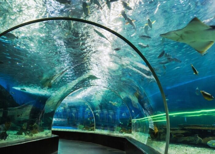 Dubai Aquarium and Underwater Zoo