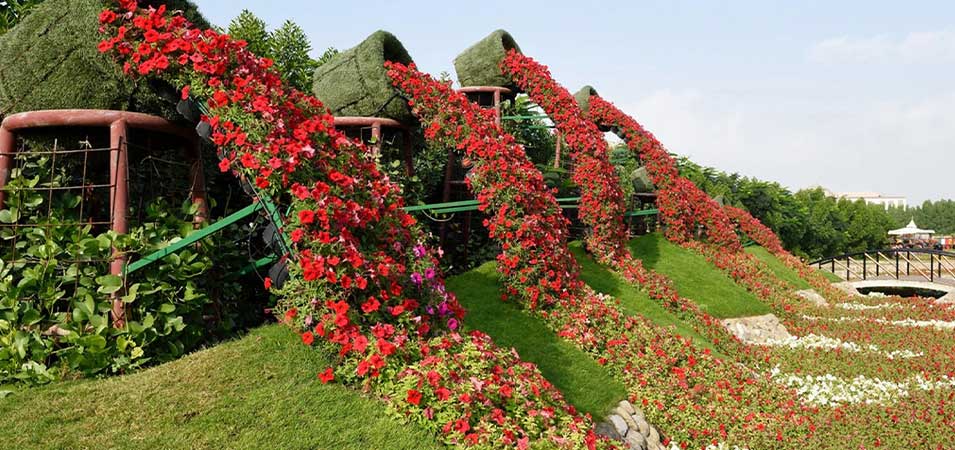 Dubai Miracle Garden