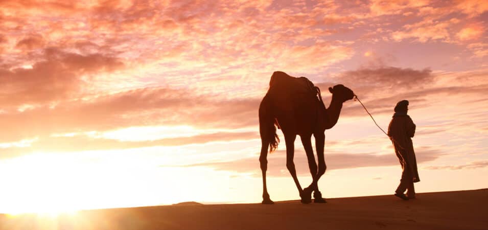 Merzouga Travel Guide