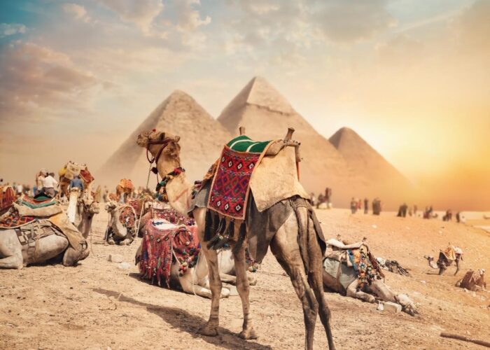 Day Tour to Giza Pyramids & The Egyptian Museum