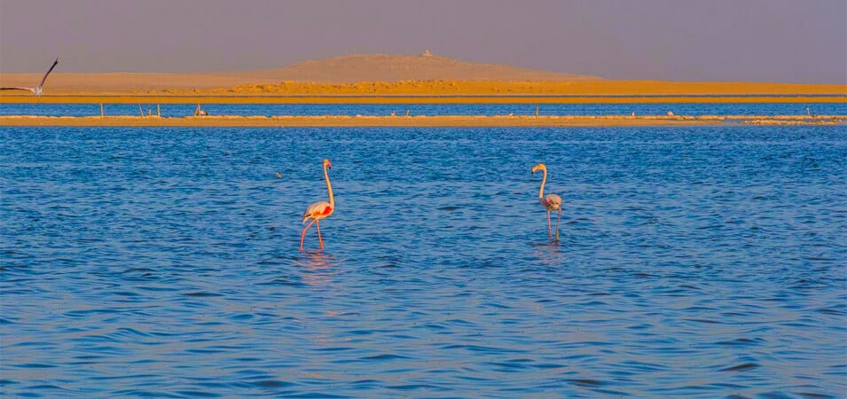Lake Qarun In El Fayoum Oasis